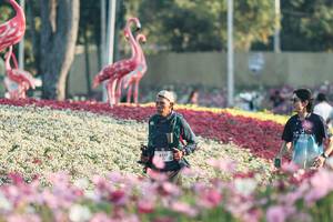 BIB: 
                            <button type="button" onclick="openModal(27344110)" class="btn btn-primary btn-sm float-right btn-popup" data-toggle="modal" data-target=".modal-high-quality">
                        <i class="fas fa-shopping-cart"></i> Add to Cart
                    </button>
                                            <button type="button" onclick="isThisMe(27344110, true)" class="btn btn-success btn-sm float-right btn-popup btn-isme hidden" data-toggle="tooltip" data-placement="bottom" title="นี่คือรูปของคุณใช่ไหม คลิกที่นี่เพื่อเอาเข้าอัลบั้ม">
                        <i class="fas fa-plus"></i> Add to album
                    </button>
                    <button type="button" onclick="isThisMe(27344110, false)" class="btn btn-warning btn-sm float-right btn-popup btn-isnotme hidden">
                        <i class="fas fa-ban"></i> Remove from album
                    </button>